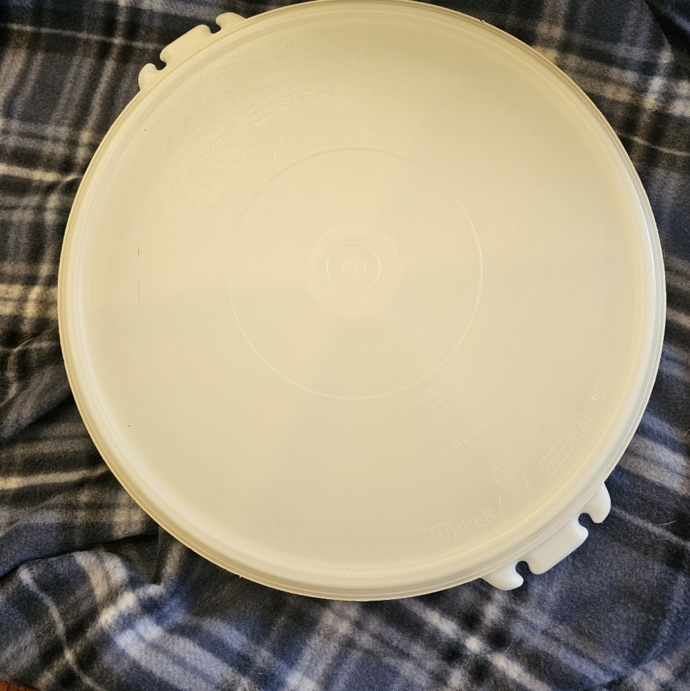 Vintage Tupperware Devided Party Tray.